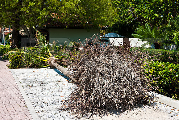 2805_DG_Fisher_Beach_Club_Miami_FL_5L8Y2667