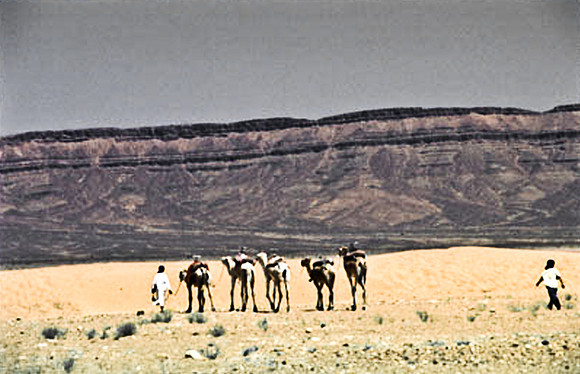 3190_SL_COLOR_TAMGROUTE_DUNES_MAROCCO_II_1998_18