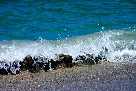 85766_FL_DG_IMG_2865