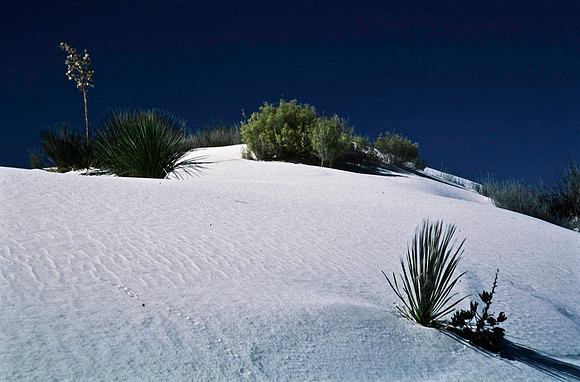 47894_B16_SL_COLOR_LA_MESILLA0_TO_WHITE_SOUNDS_NAT_MNY_HWY20_NM_97_0845.jpg
