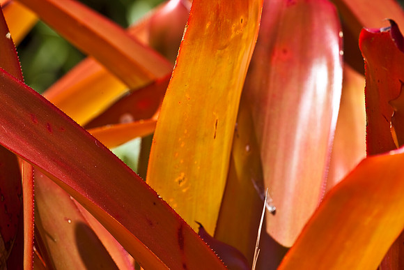 3001_Fisher_Plant_Miami_FL5L8Y2409