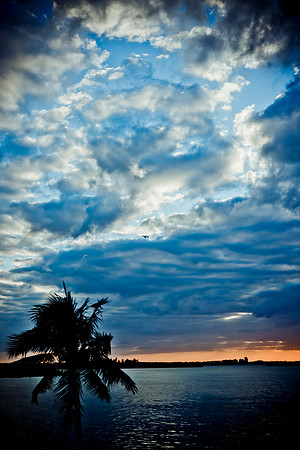 0041_DG_Miami_Sky_line_Florida_USA_20095L8Y1676