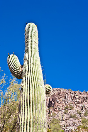 0031_La_Arizona_5L8Y5367