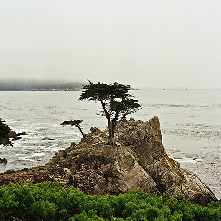 2369_FM_COLOR_CARMEL_CA_02_4.jpg
