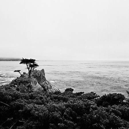 2368_FM_BW_CARMEL_CA_02_8.jpg