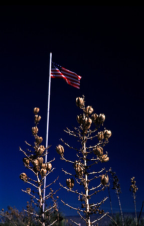 47894_B16_SL_COLOR_LA_MESILLA0_TO_WHITE_SOUNDS_NAT_MNY_HWY20_NM_97_0542.jpg
