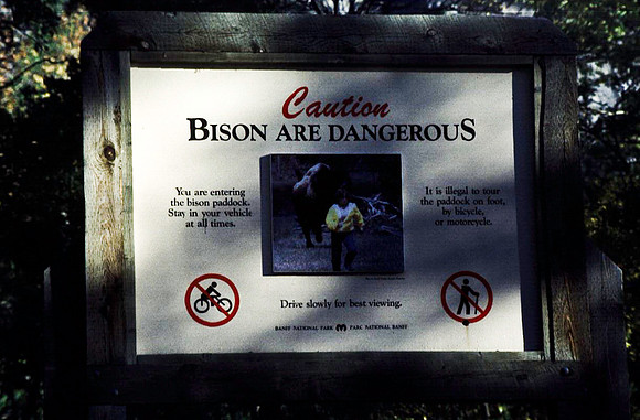 06825_B19_SL_COLOR_BISON_NAT_PARK_LAKE_LOUIS_VILLAGE_WS_97_08.jpg