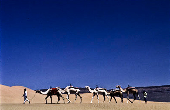 3192_SL_COLOR_TAMGROUTE_DUNES_MAROCCO_II_1998_3