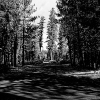 7571_FM_BW_CA_01_3.jpg