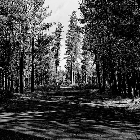 7571_FM_BW_CA_01_3.jpg