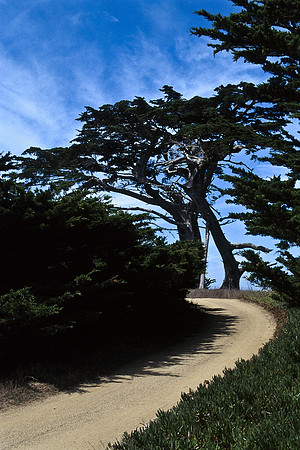 47937_B17_SL_COLOR_17M_DRIVE CARMEL_CA_97_12.jpg