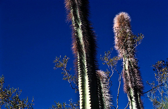 47902_B16_SL_COLOR_NM_97_01.jpg