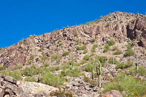 0031_La_Arizona_5L8Y5431