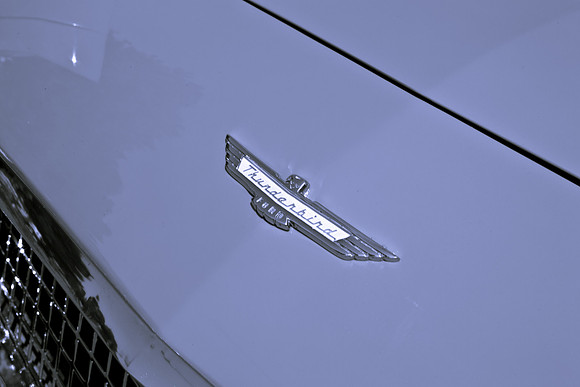 0026_DG_Mill_Valley_CA_USA_2009_5L8Y1784