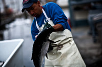06588_ZV4N_3670_DG_COLOR_BODEGA_BAY_CALIFORNIA_CA_2007_USA