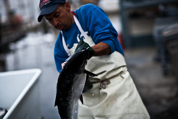 06588_ZV4N_3670_DG_COLOR_BODEGA_BAY_CALIFORNIA_CA_2007_USA