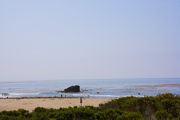 06584_ZV4N_1720_USA