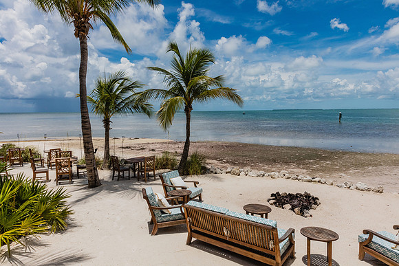 20160714_Key_West_Little_Palm__75A0623