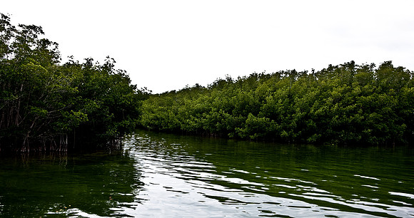2528_20090309_Everglades_Natasha_DA_Miami_FL_5L8Y2472
