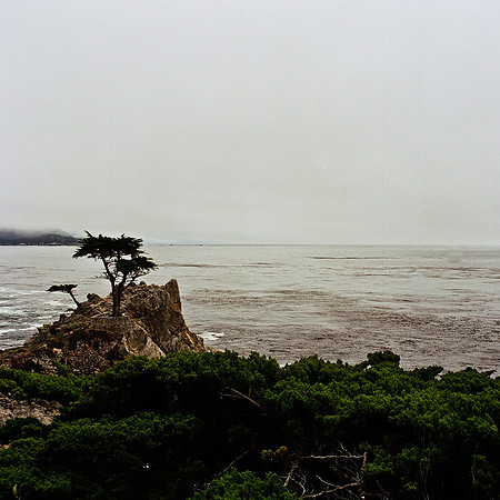 2366_FM_COLOR_CARMEL_CA_02_7.jpg