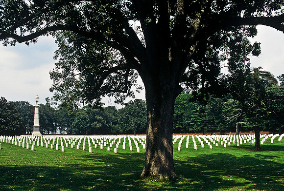 47414_B4_SL_COLOR_US_TOUR_NC_GA_97_09.jpg