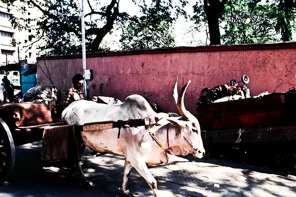 47282_SL_COLOR_INDIA_1987_10