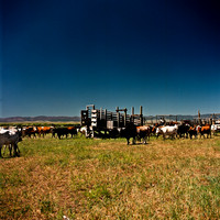 2407_FM_COLOR_ID_02.jpg