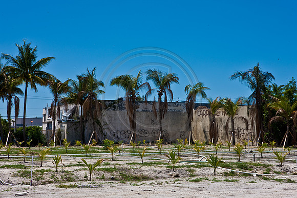 2901_DG_Design_Distric_Miami_FL20090422-5L8Y6179