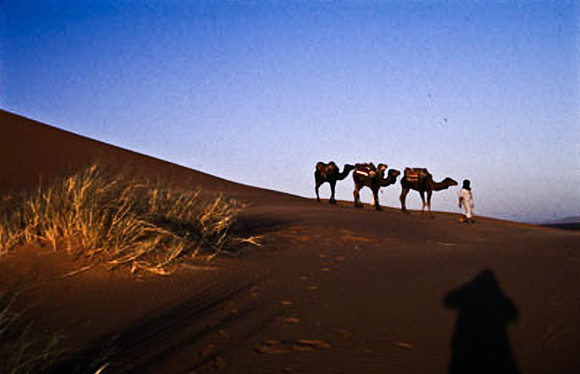 3208_SL_COLOR_MERZOUGA_SHAHARA_MAROCCO_II_1998_1