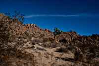 36377_DG_COLOR_JOSHUA_TREE_NATL_PARK_29_PALMS_CALIFORNIA_CA_USA_2007_ZV4N_1330