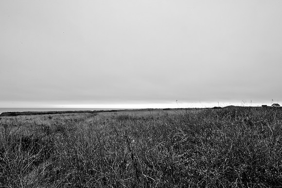 5L8Y0562