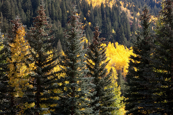 20080830_DVD14_DG_USA_Aspen_2394_full_blead