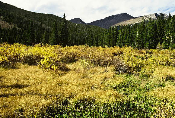 47427_B5_SL_COLOR_HOT_SULPHUR_HWY40_COLORADO_WYOMING_9712.jpg