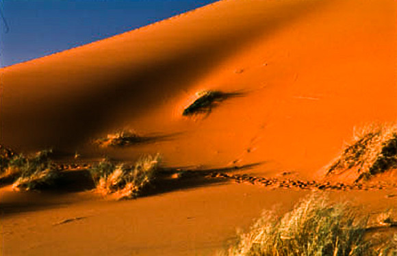 3214_SL_COLOR_MERZOUGA_MAROCCO_II_1998_1