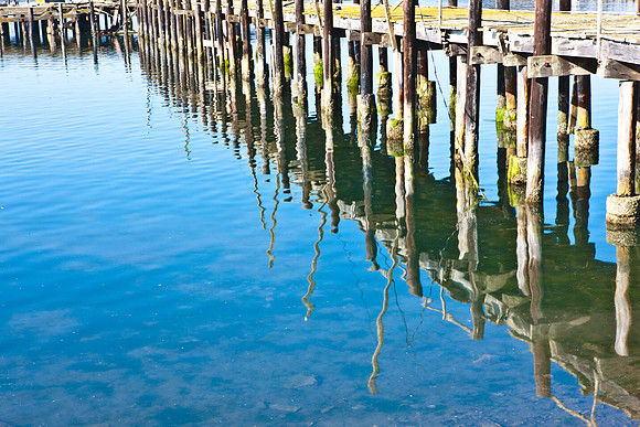 0026_DG_Botega_Bay_CA_USA_2009_5L8Y1624