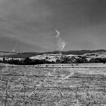 2385_B4P2_3_BW_SQ_Napa_Valley_CA_02_3.jpg