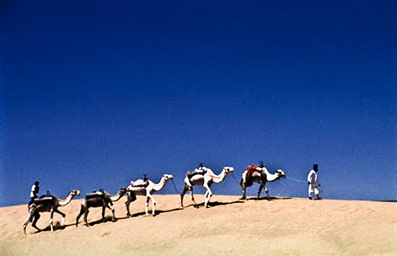 3193_SL_COLOR_TAMGROUTE_DUNES_MAROCCO_II_1998_13