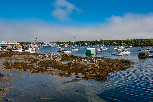 20060628_Maine_ZV4N1174