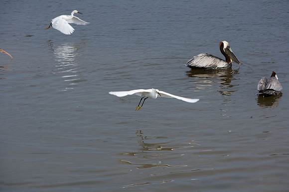 85545_ZV4N_7203_Miami_To_Sanibel_Island_FL