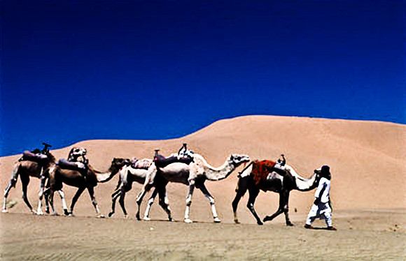 3191_SL_COLOR_TAMGROUTE_DUNES_MAROCCO_II_1998_6