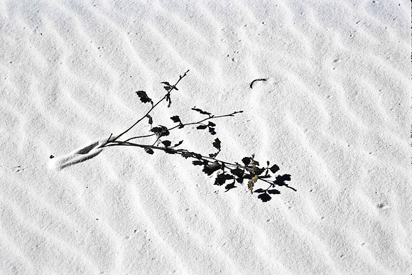 47895_B16_SL_COLOR_LA_MESILLA0_TO_WHITE_SOUNDS_NAT_MNY_HWY20_NM_97_3717.jpg