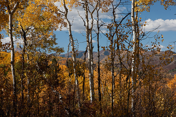 20080829_DVD15_DG_USA_Aspen_2148_full_blead