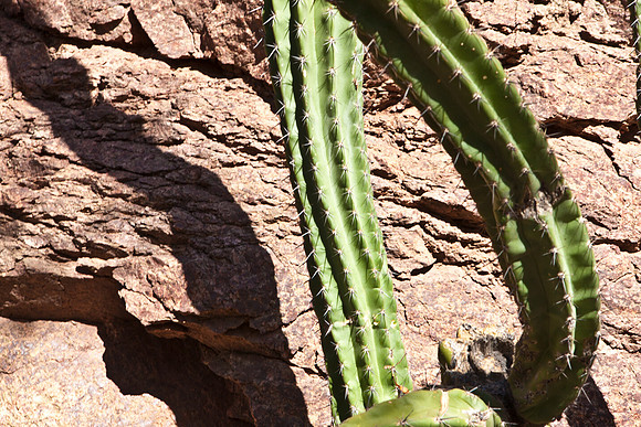 0031_La_Arizona_5L8Y5504