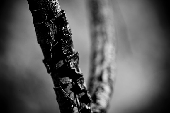 0031_La_Arizona_5L8Y5570
