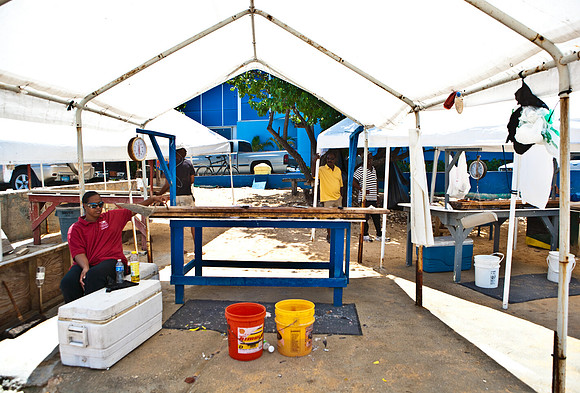 3876_DG_Cayman_Island_Caribbean_ZV4N0735