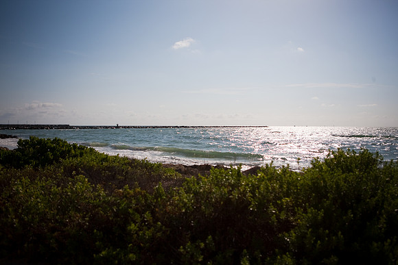 2702_Fisher_Beach_Miami_FL_5L8Y1497