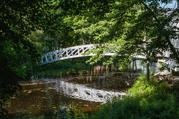 20060628_Maine_ZV4N1144
