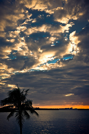 0041_DG_Miami_Sky_line_Florida_USA_20095L8Y1675