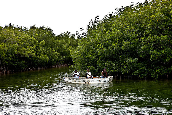 2528_20090309_Everglades_Natasha_DA_Miami_FL_5L8Y2419