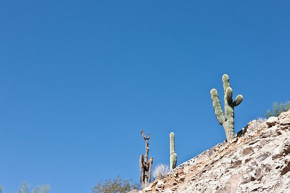 0031_La_Arizona_5L8Y5499